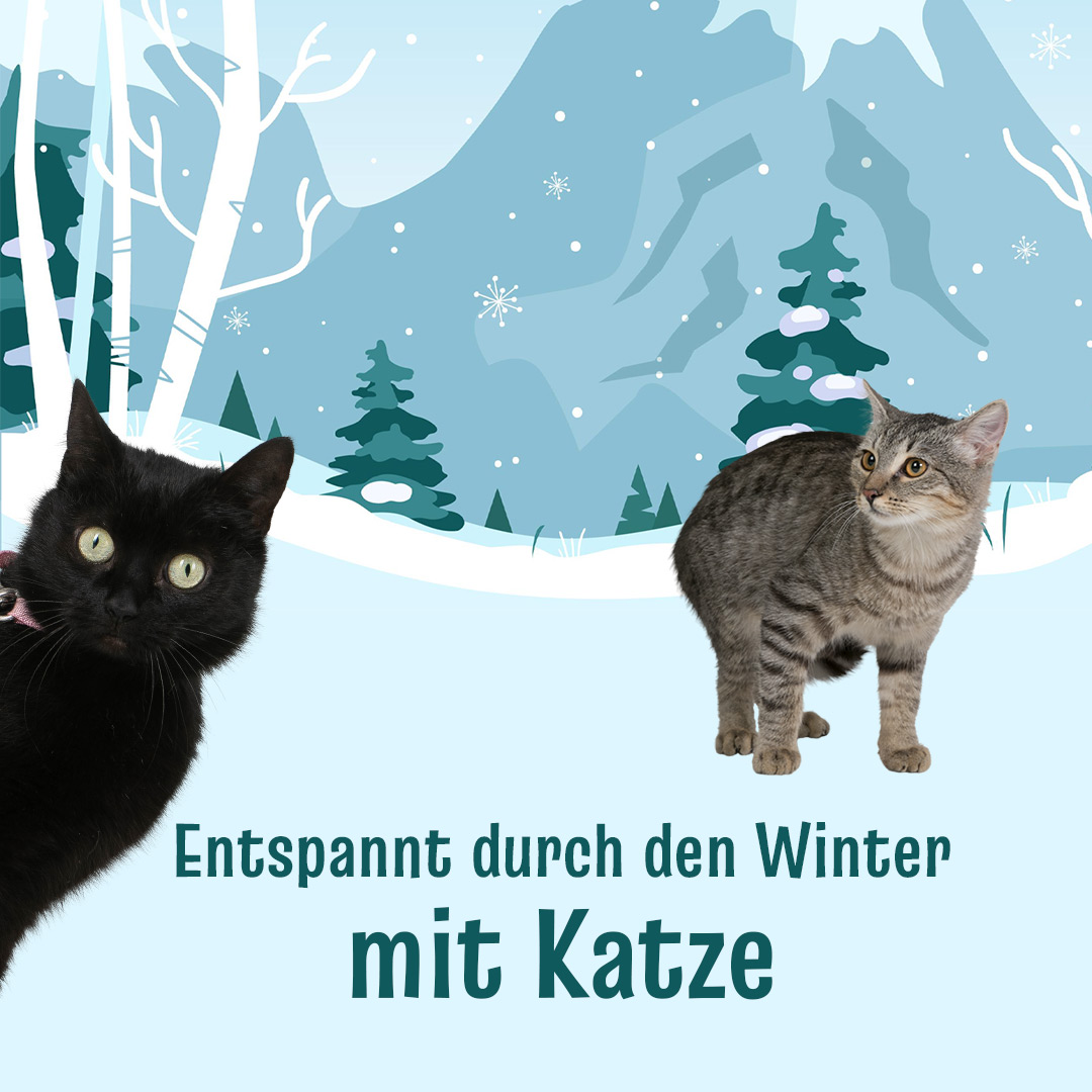 Winter Mit Winter mit Katze – Josi